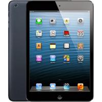 Ремонт iPad mini в Чернигове